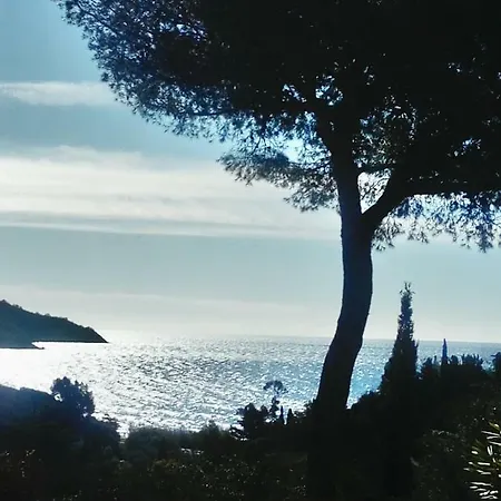 Golfe De St Tropez Valmer *